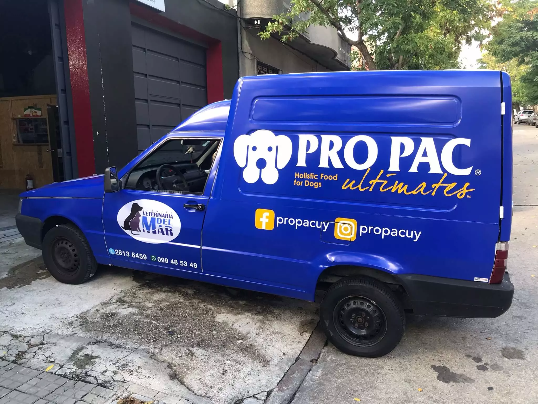 Ploteo de Vinilo de Corte e Impreso